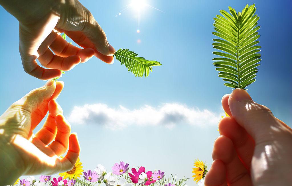 投资抵免的所得税避税筹划