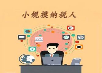 小规模纳税人和一般纳税人有什么区别